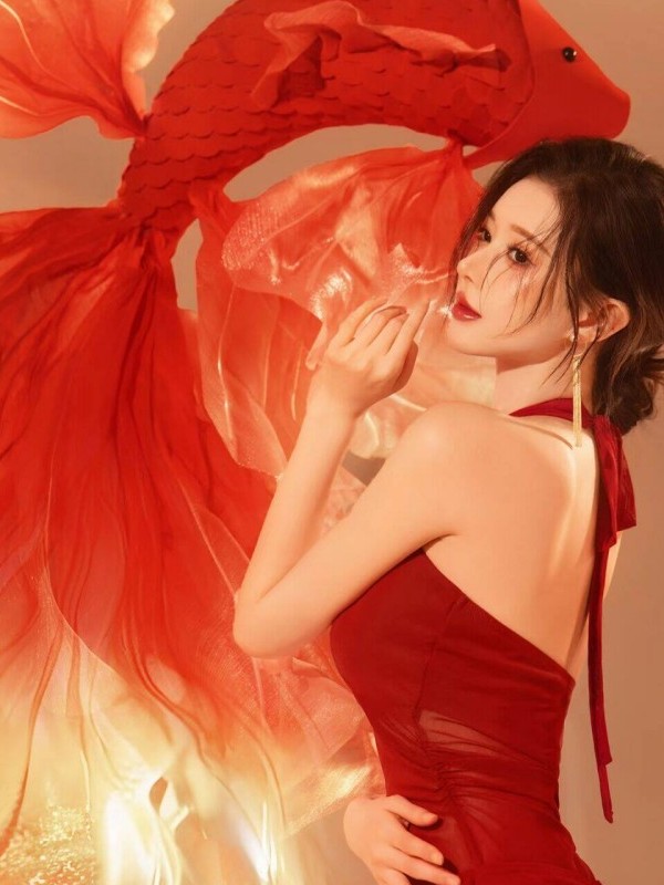 Kostum Fotografi Tahun Baru Me - Photography Lighting For Clothing ulasan dan harga