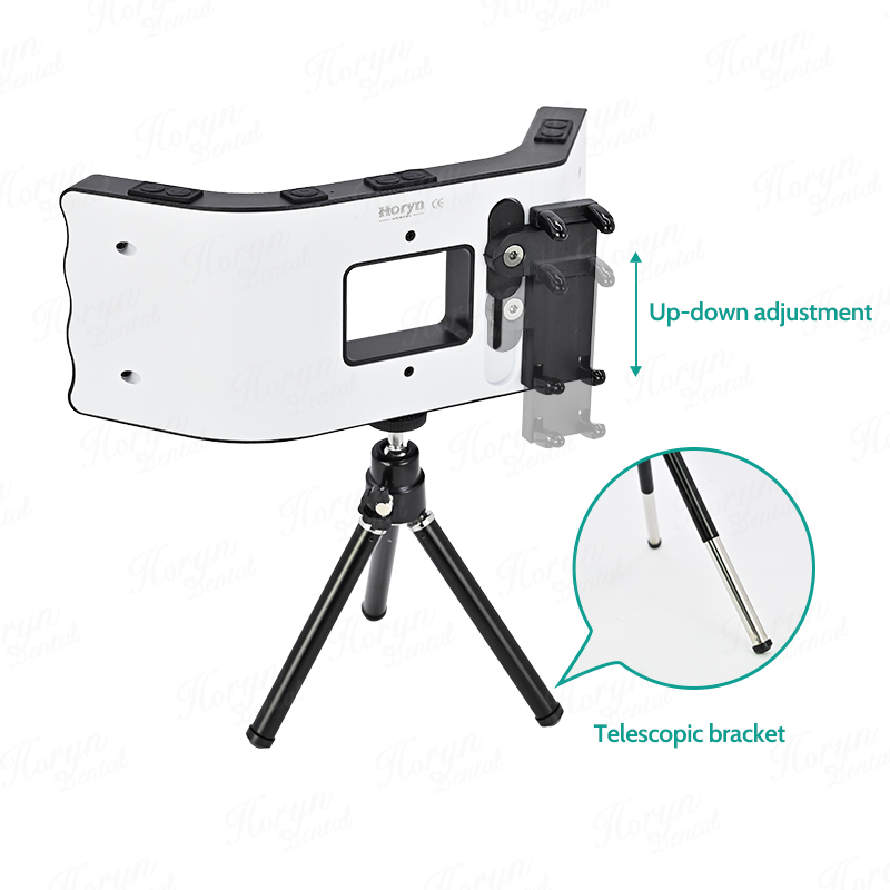 Kit fotografi gigi senter pons - Photography Umbrella Lighting Kit ulasan dan harga